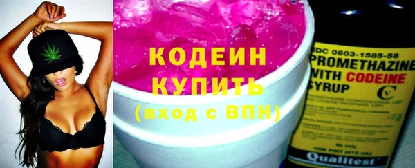 мдпв Осташков