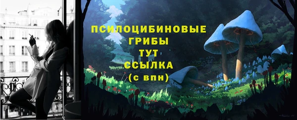 Альфа ПВП Алзамай