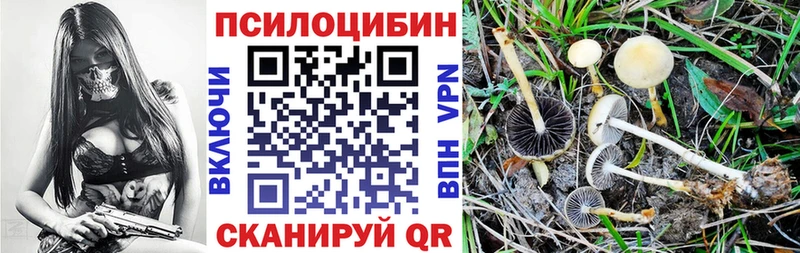 Псилоцибиновые грибы ЛСД Навашино